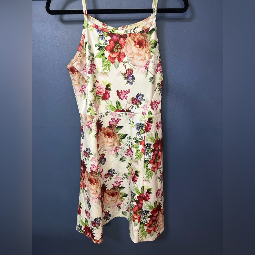 Ginger G Multicolor Floral Dress